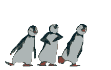penguins2.gif