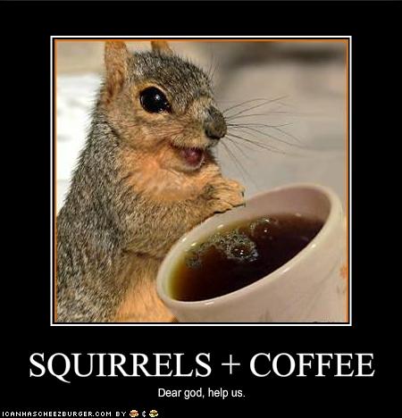 squirrels_coffee.jpg